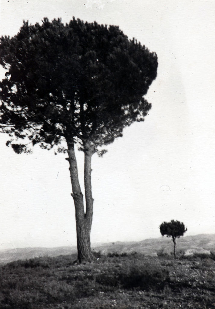 Família Mas Marsell, anys 30. (Cedida per Joan Mas Marsell)
