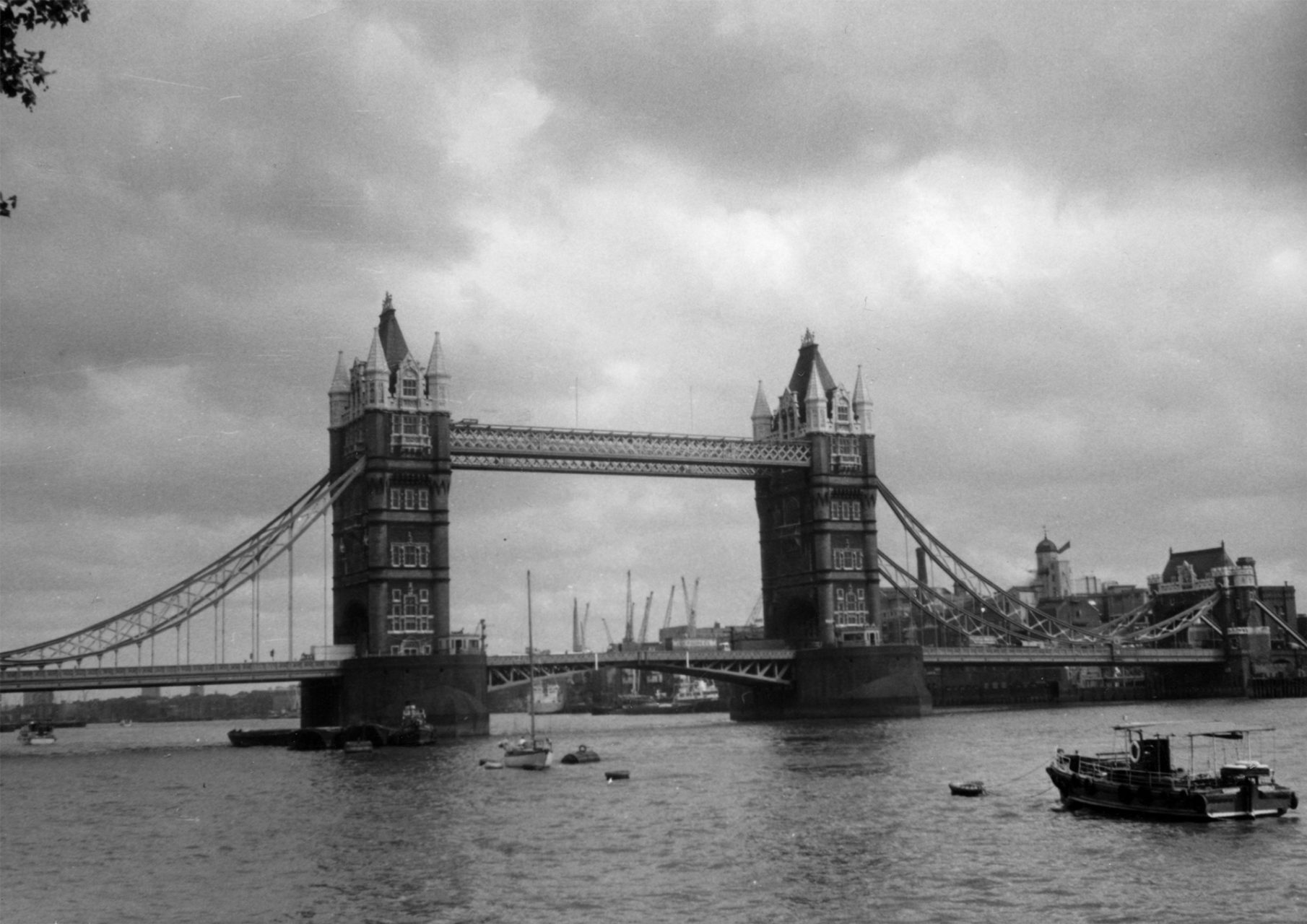 Fons Teresa Cervelló Londres